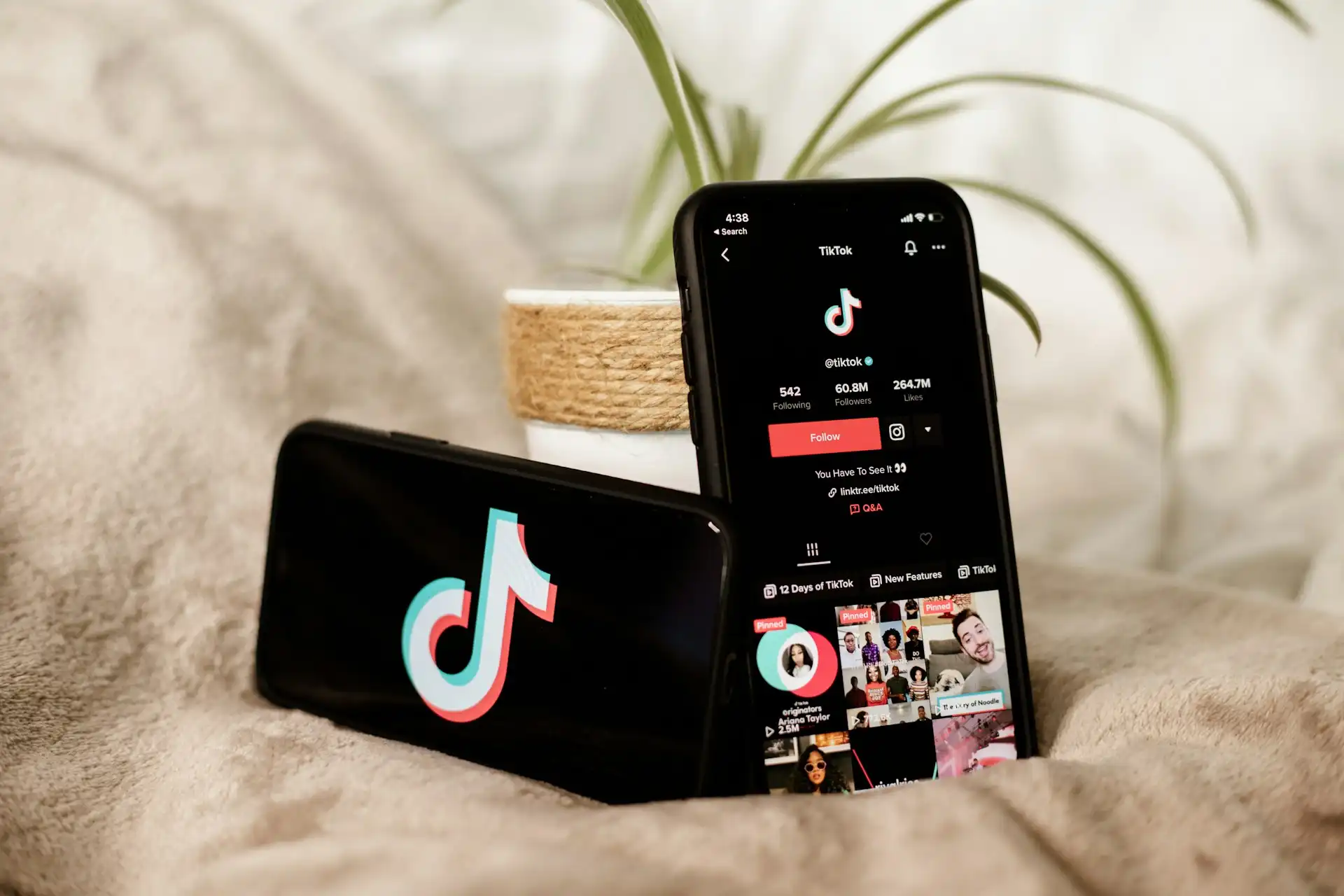 Expert TikTok Advertising Services in Bristol